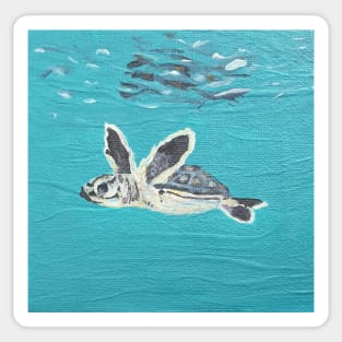 swim baby turtle Sticker